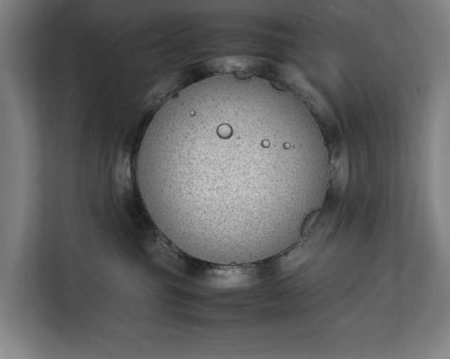 X0000111140381200907071054