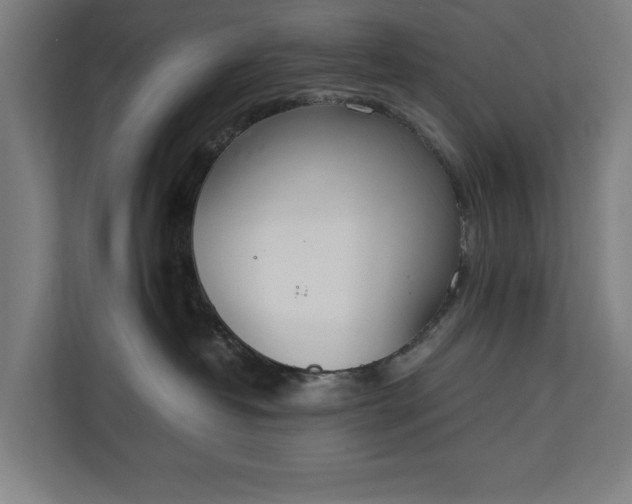 X0000111140382200907071054