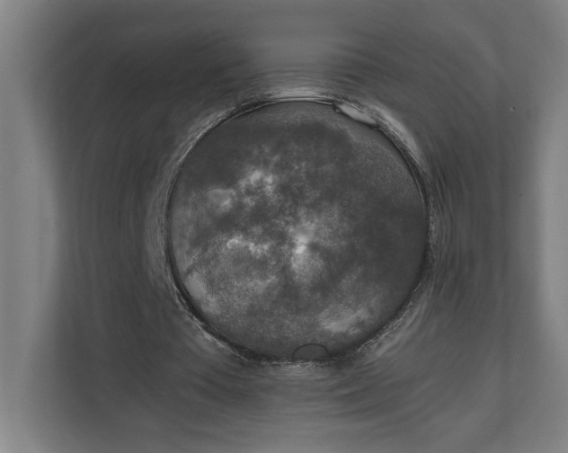 X0000111140385200907071053