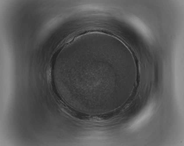 X0000111140387200907071053