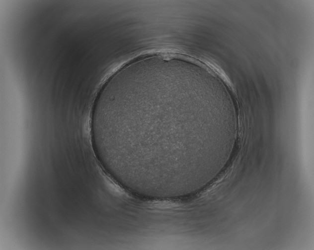 X0000111140389200907071053