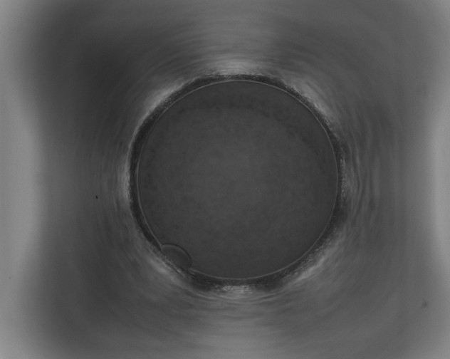 X0000111140391200907071053