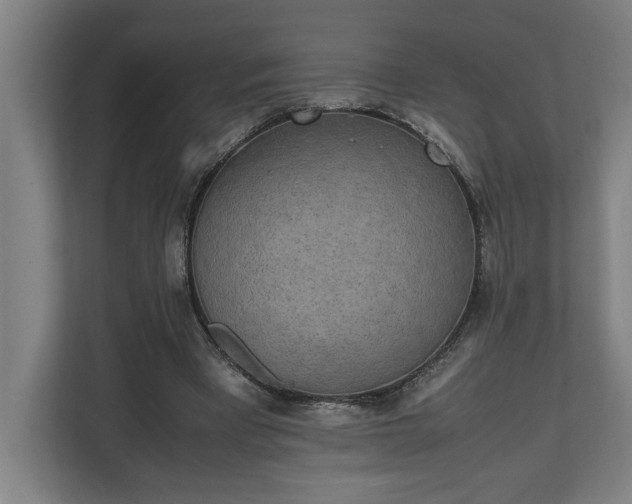 X0000111140393200907071053