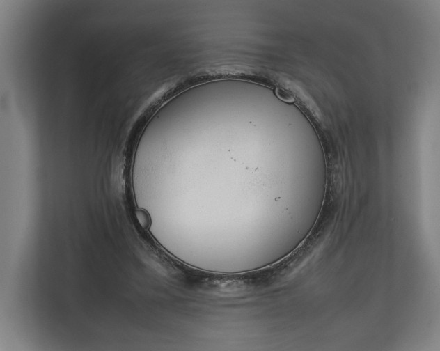 X0000111140395200907071053