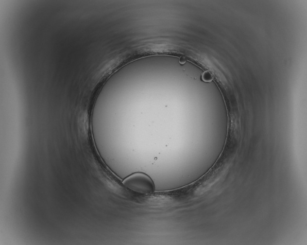 X0000111140397200907071053