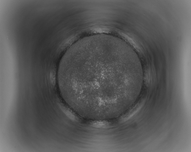 X0000111140402200907071053