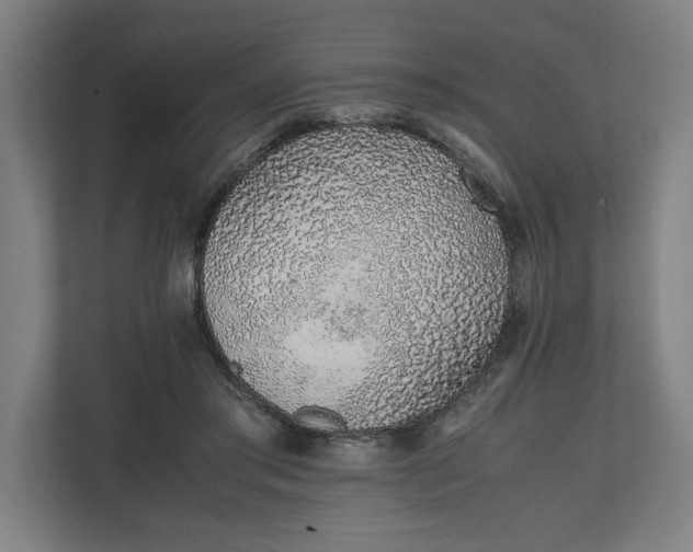 X0000111140405200907071053