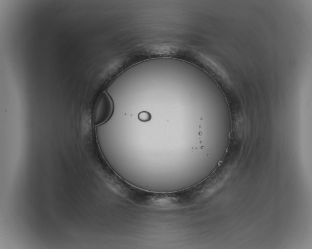 X0000111140407200907071053