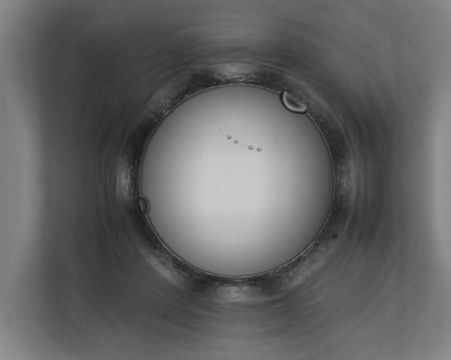 X0000111140408200907071053