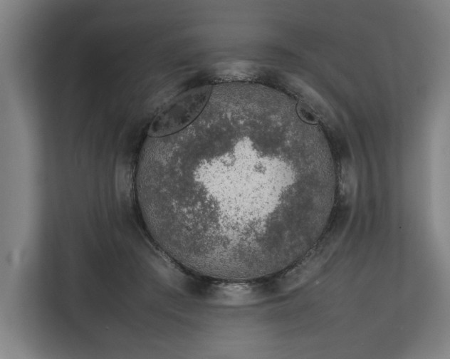 X0000111140409200907071053