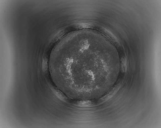 X0000111140410200907071053