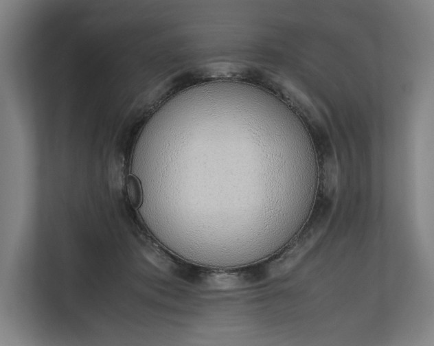 X0000111140413200907071053