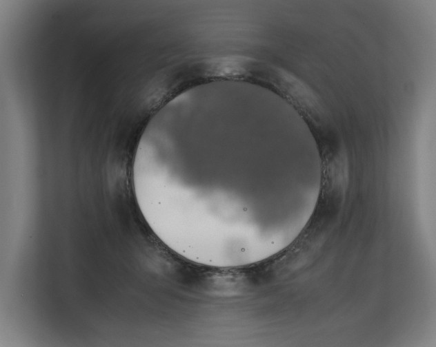 X0000111140415200907071053