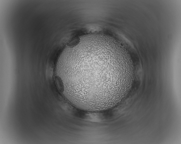 X0000111140417200907071053