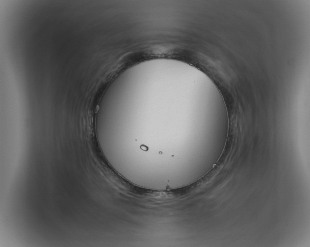 X0000111140421200907071053