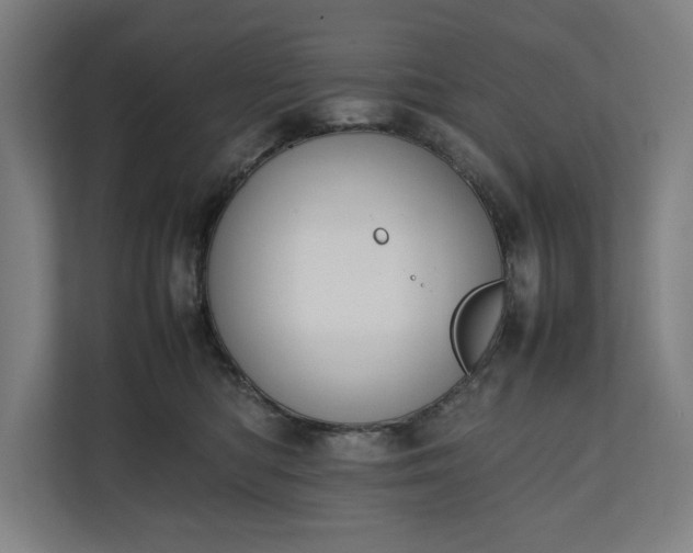 X0000111140422200907071053