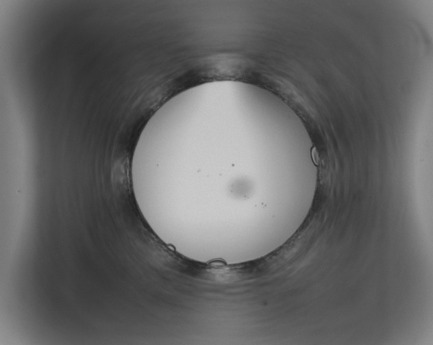 X0000111140425200907071053