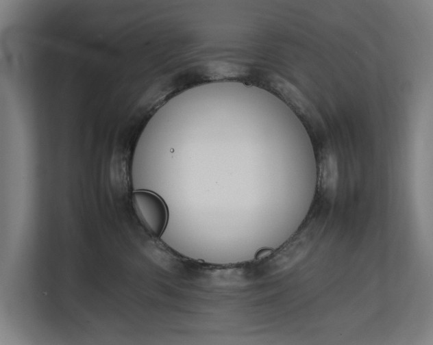 X0000111140426200907071052