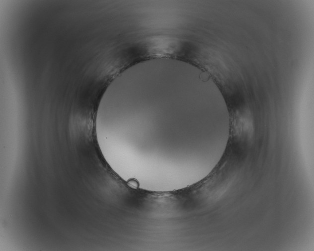 X0000111140427200907071052