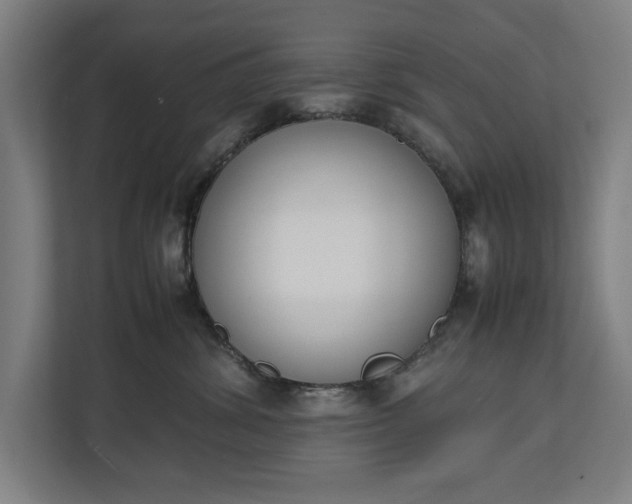 X0000111140428200907071052