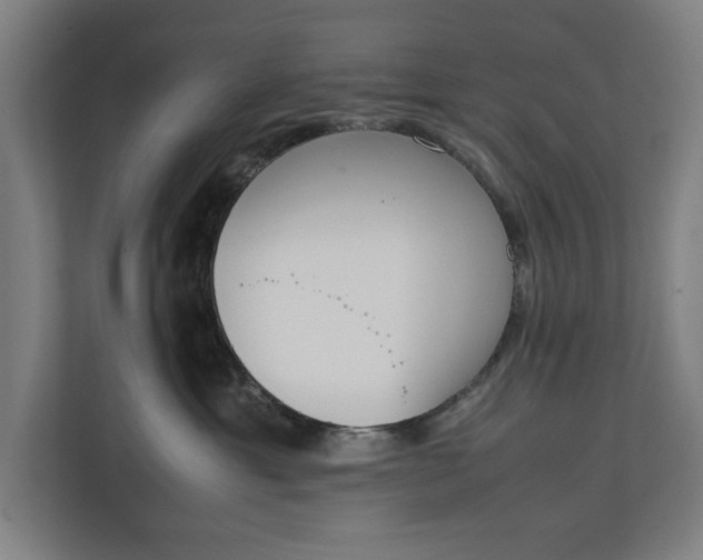 X0000111140429200907071052