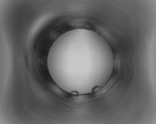 X0000111140430200907071052