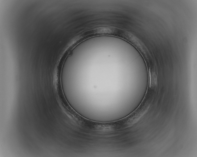 X0000111140435200907071052