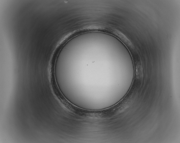 X0000111140436200907071052