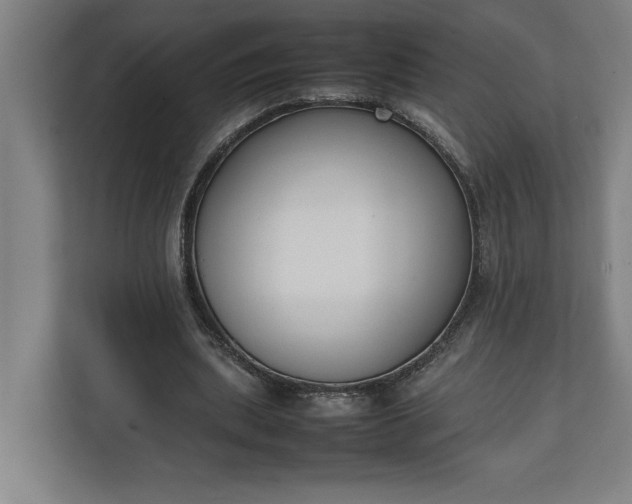 X0000111140439200907071052