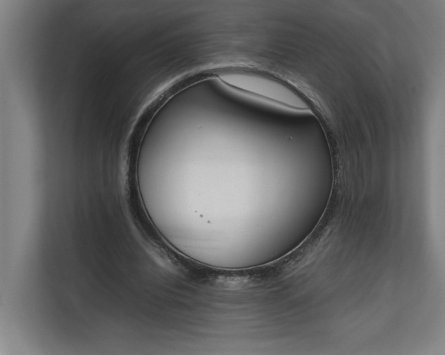 X0000111140440200907071052