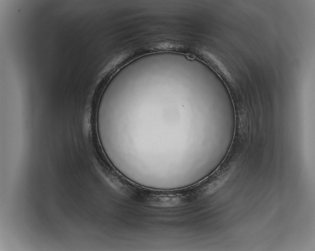 X0000111140443200907071052