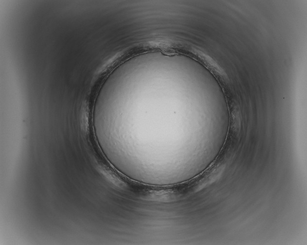 X0000111140446200907071052