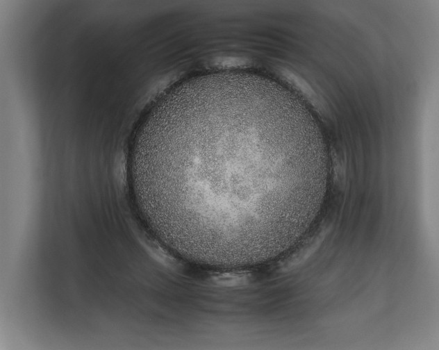 X0000111140447200907071052