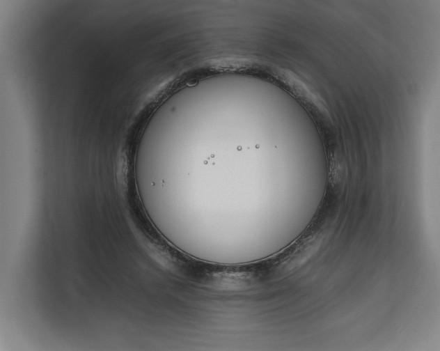 X0000111140448200907071052