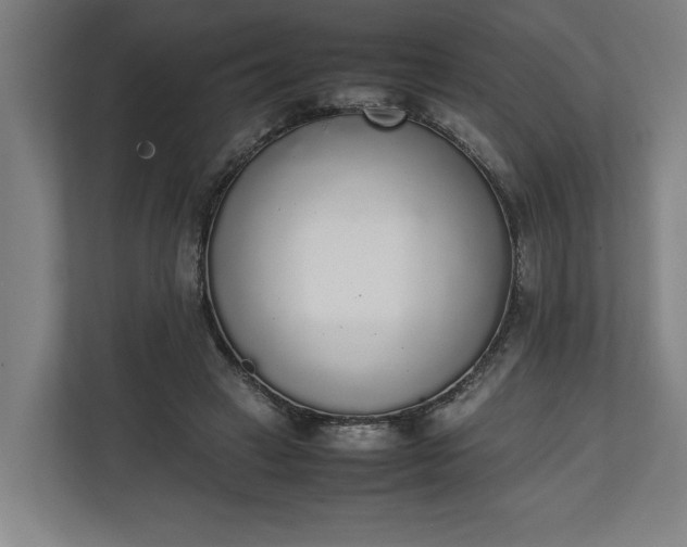 X0000111140449200907071052