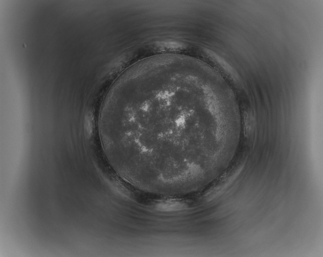 X0000111140451200907071052