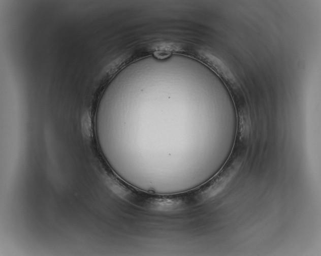 X0000111140453200907071052