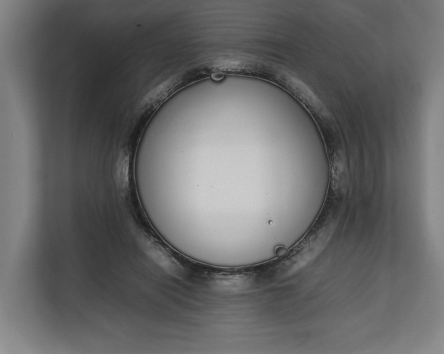 X0000111140454200907071052