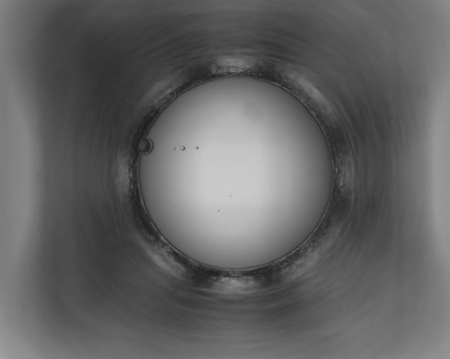 X0000111140455200907071052