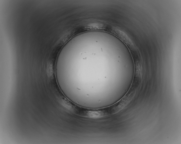 X0000111140457200907071052