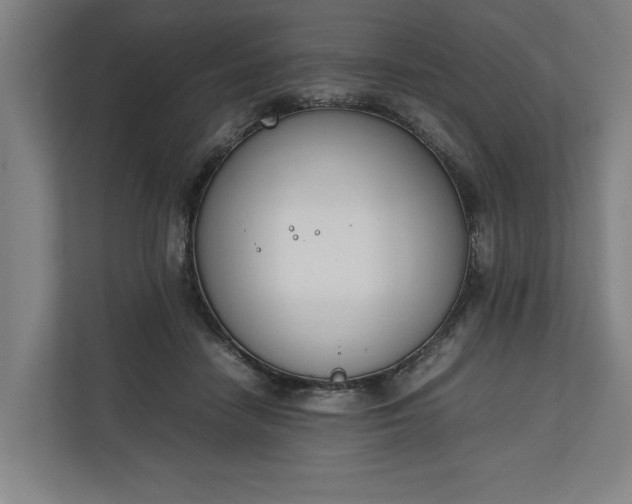 X0000111140458200907071052