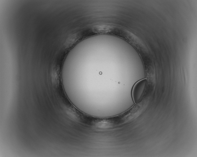 X0000111140460200907071052