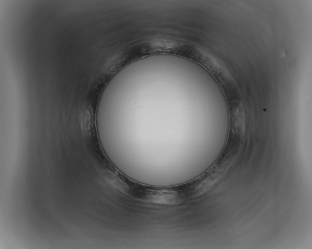 X0000111140463200907071052