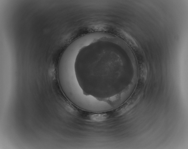 X0000111140465200907071052