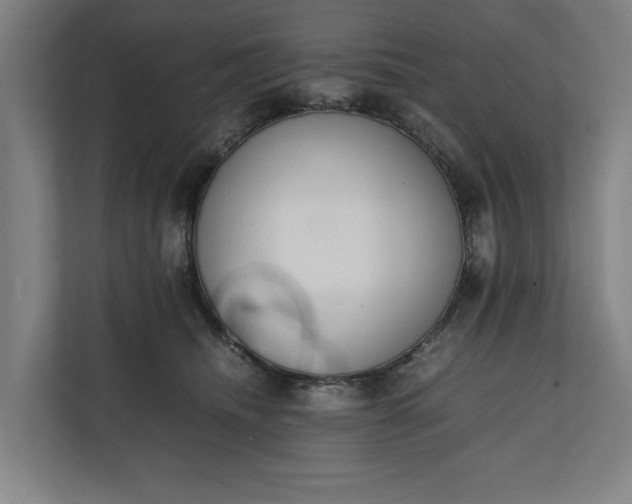 X0000111140468200907071052