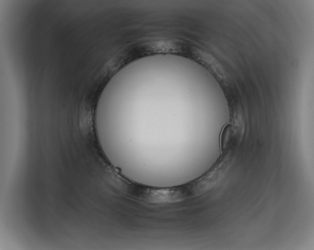 X0000111140473200907071052