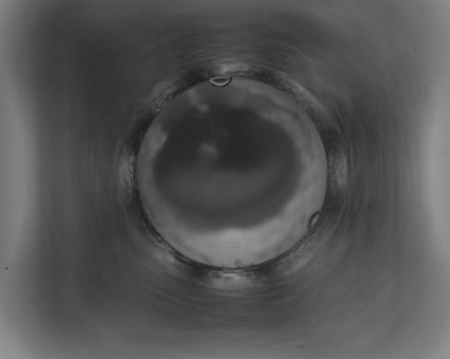 X0000111140475200907071052