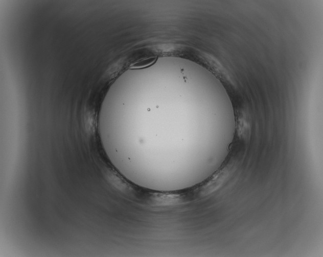 X0000111140476200907071052