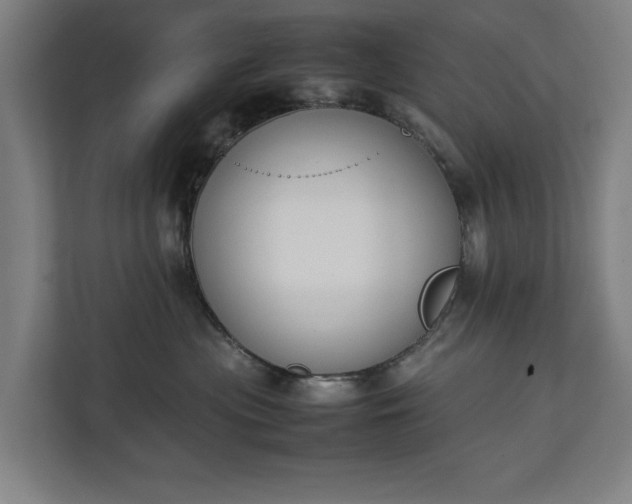 X0000111140477200907071052