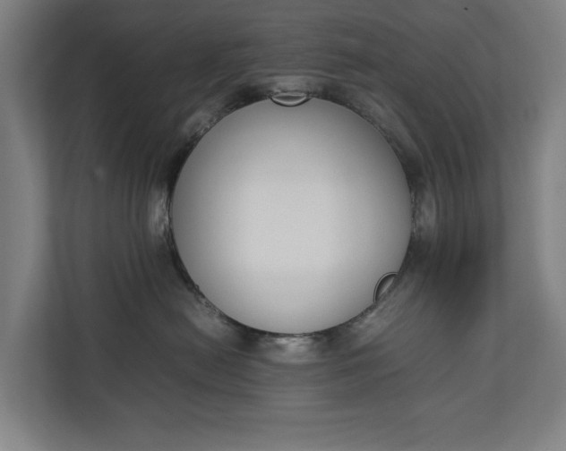 X0000111140478200907071052